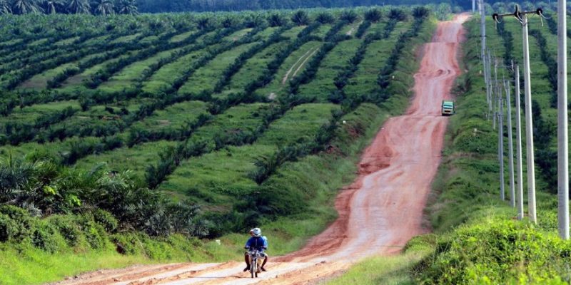 Pasang Internet Perusahaan Perkebunan